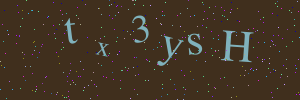 Validation image